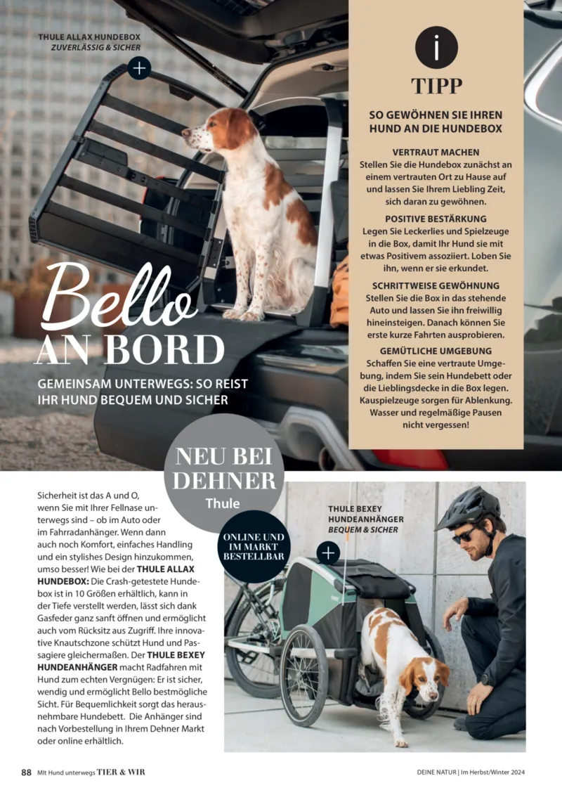 Dehner Prospekt vom 06.01.2026, Seite 88