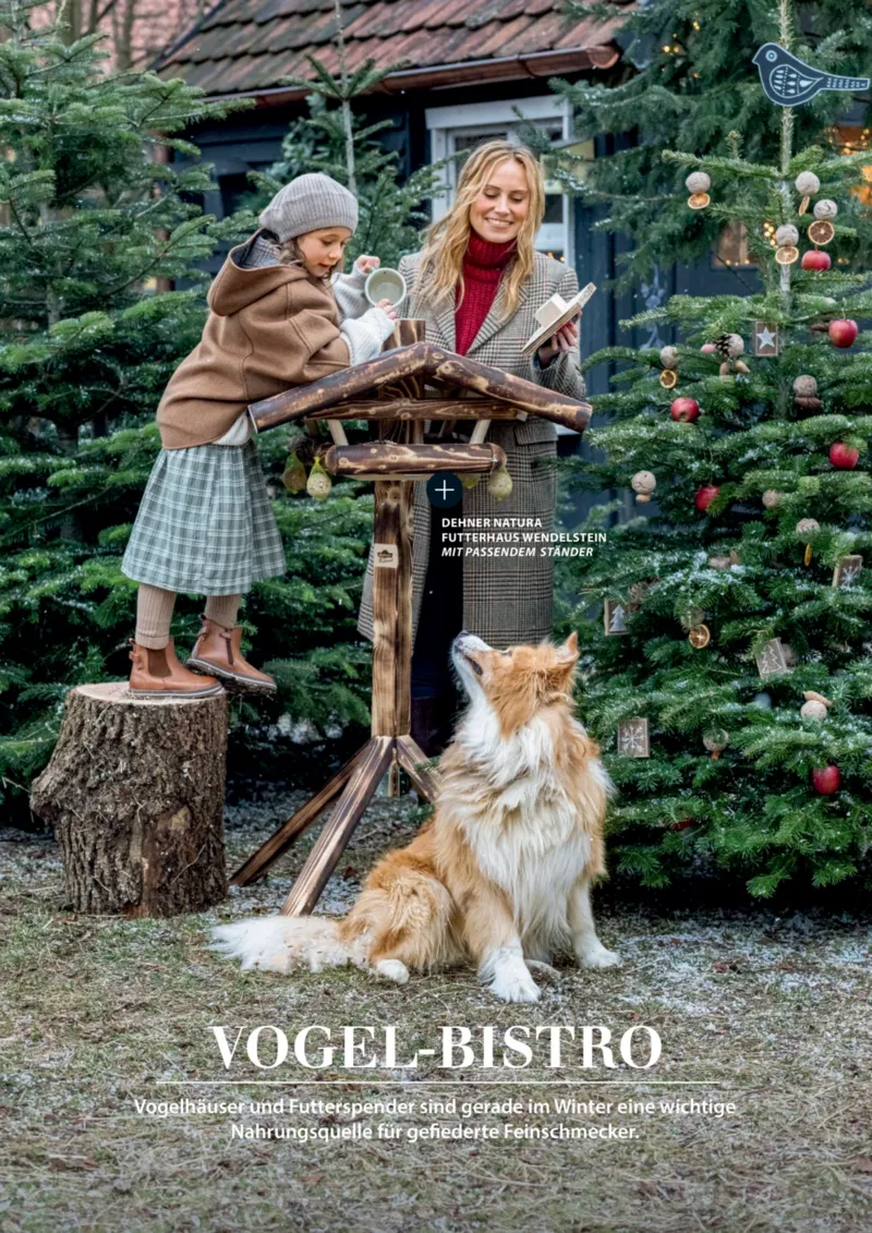 Dehner Prospekt vom 06.01.2026, Seite 90