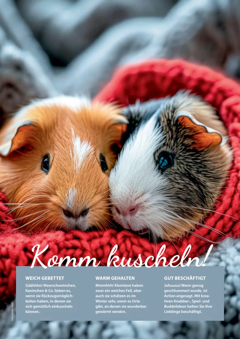 Dehner Prospekt vom 06.01.2026, Seite 97