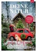 Dehner Prospekt vom 06.01.2026