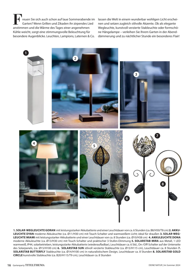 Dehner Prospekt vom 06.01.2026, Seite 16