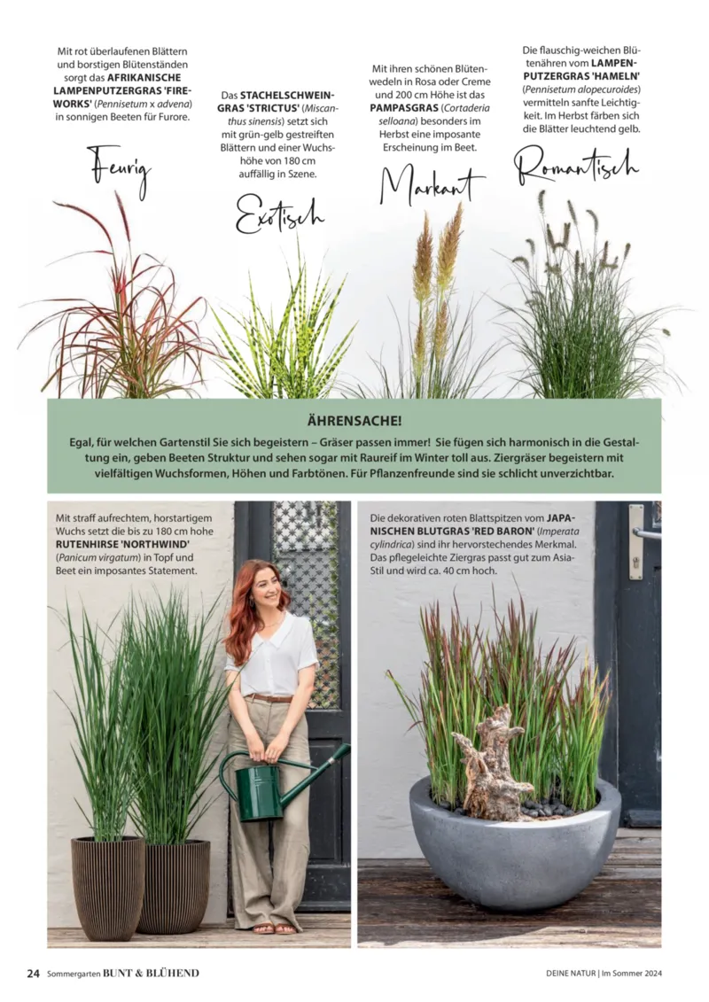 Dehner Prospekt vom 06.01.2026, Seite 24