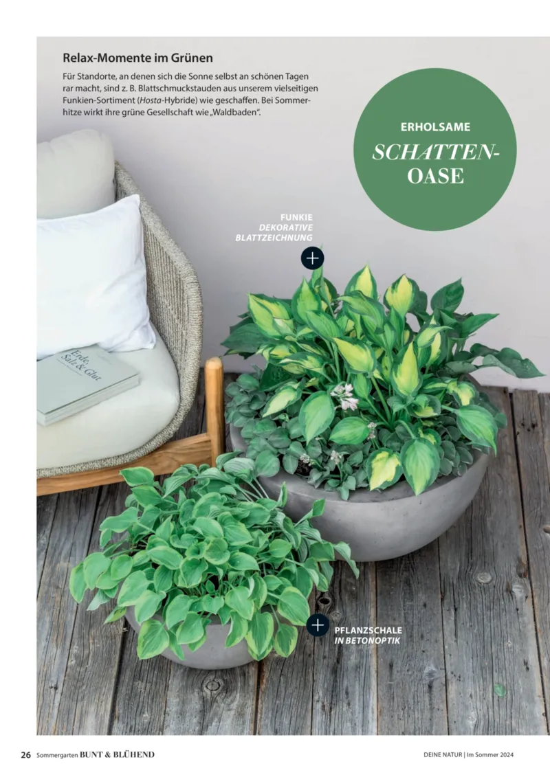 Dehner Prospekt vom 06.01.2026, Seite 26