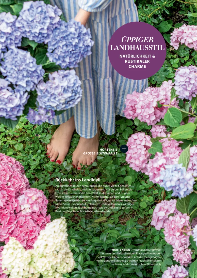 Dehner Prospekt vom 06.01.2026, Seite 29