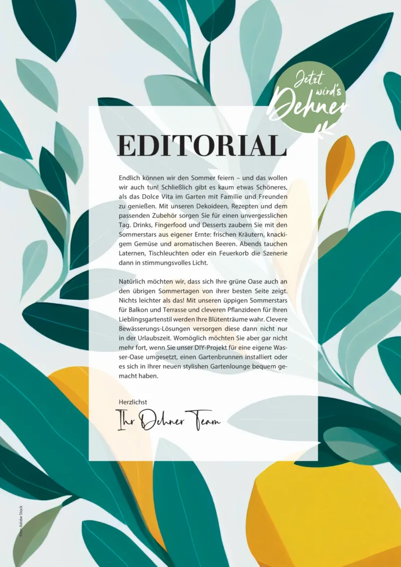 Dehner Prospekt vom 06.01.2026, Seite 3