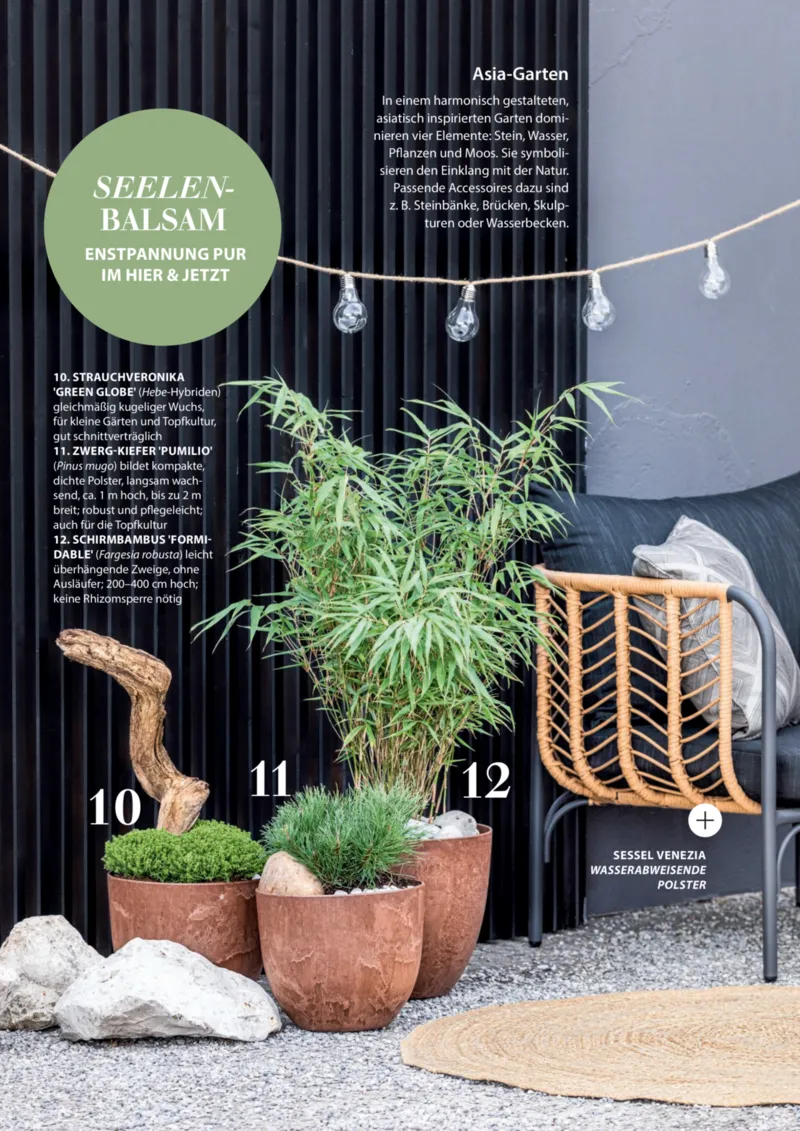 Dehner Prospekt vom 06.01.2026, Seite 33