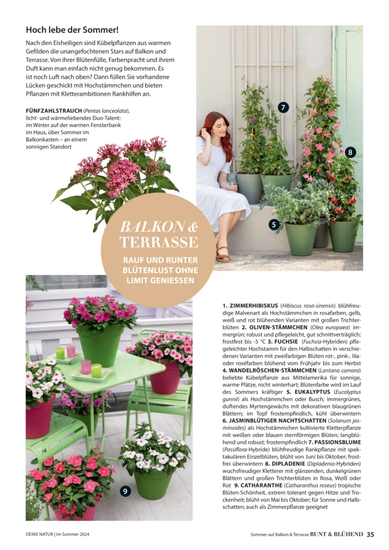 Dehner Prospekt vom 06.01.2026, Seite 35