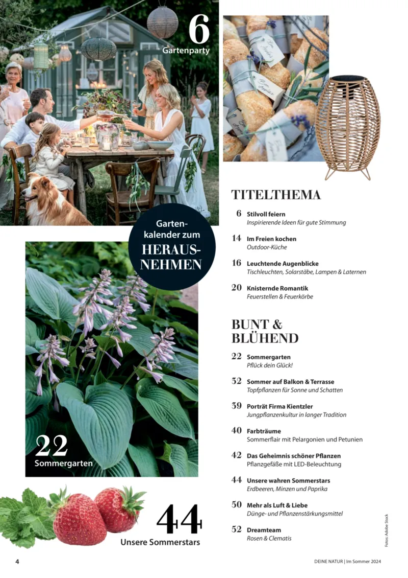 Dehner Prospekt vom 06.01.2026, Seite 4