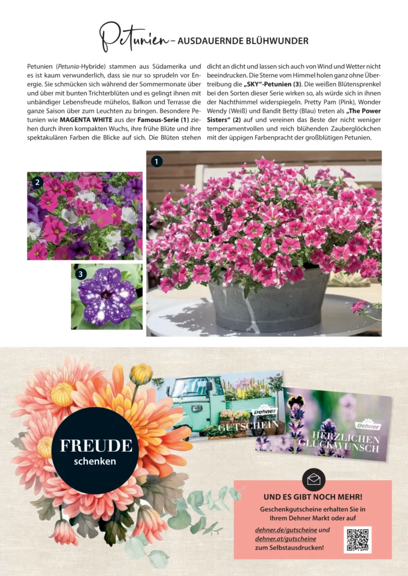 Dehner Prospekt vom 06.01.2026, Seite 41