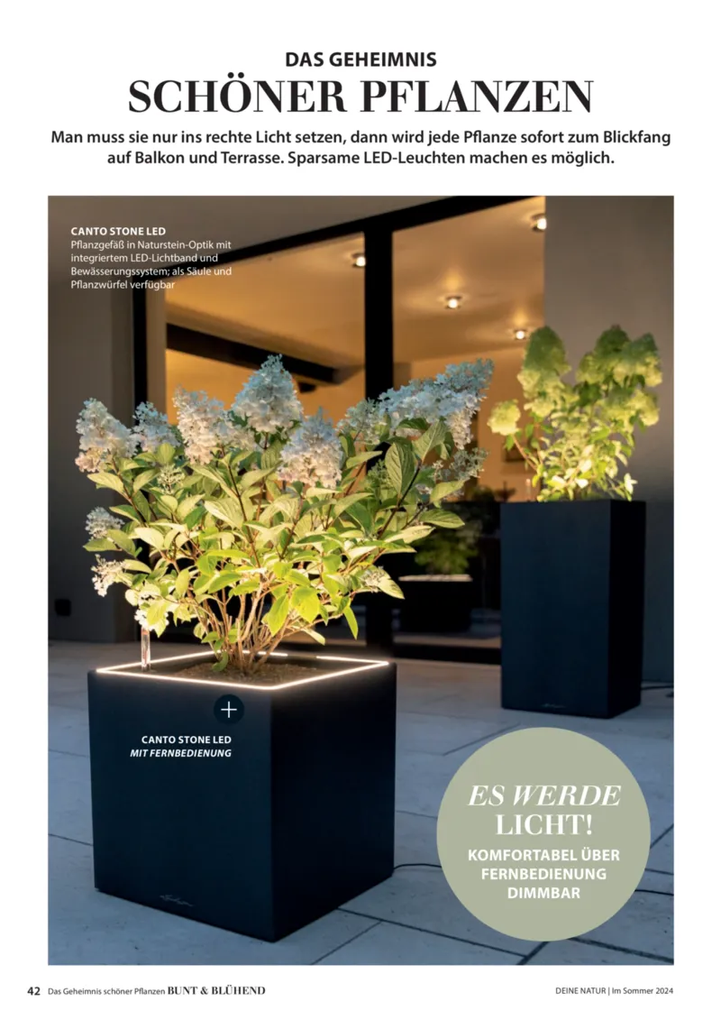 Dehner Prospekt vom 06.01.2026, Seite 42