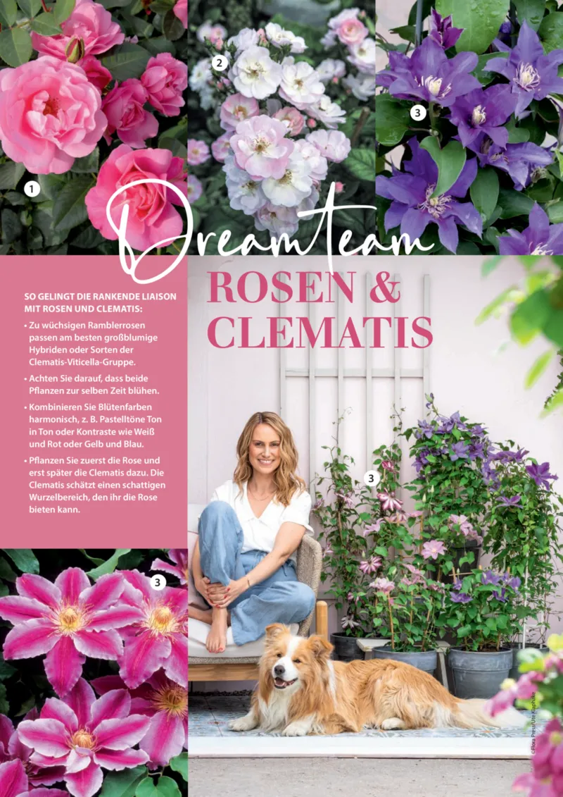 Dehner Prospekt vom 06.01.2026, Seite 52