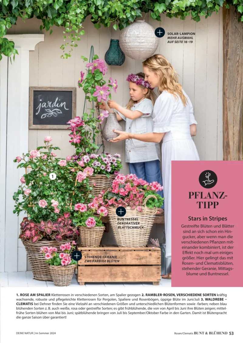 Dehner Prospekt vom 06.01.2026, Seite 53