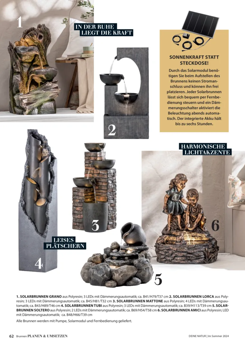 Dehner Prospekt vom 06.01.2026, Seite 62