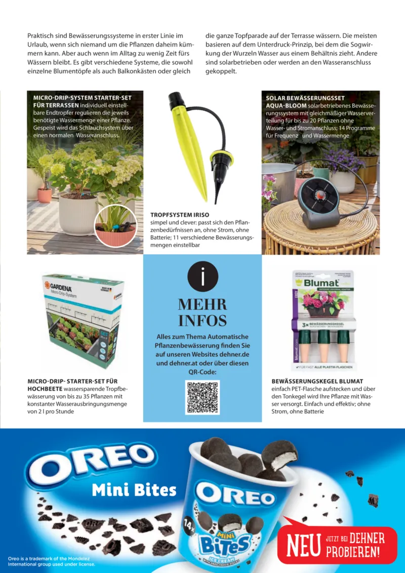 Dehner Prospekt vom 06.01.2026, Seite 65