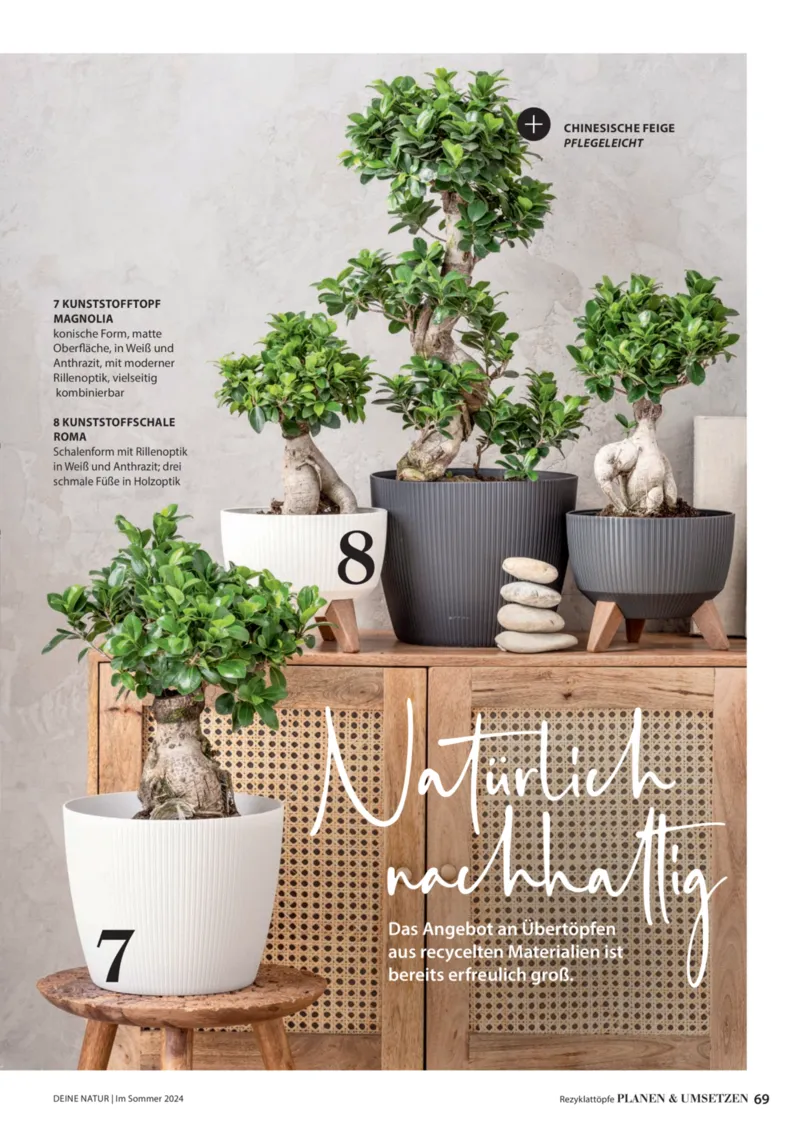 Dehner Prospekt vom 06.01.2026, Seite 69