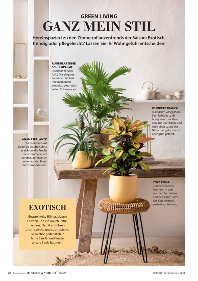 Dehner Prospekt vom 06.01.2026, Seite 78