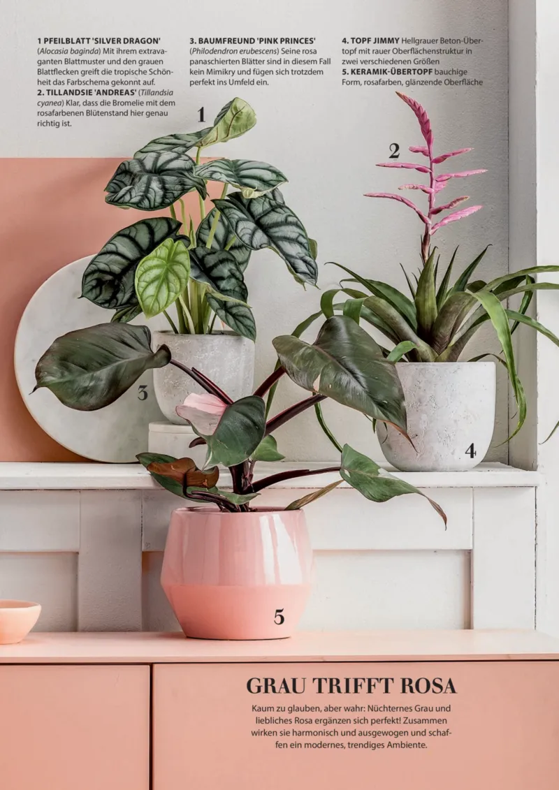 Dehner Prospekt vom 06.01.2026, Seite 80