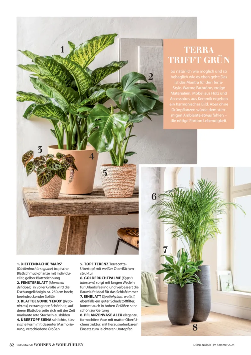 Dehner Prospekt vom 06.01.2026, Seite 82