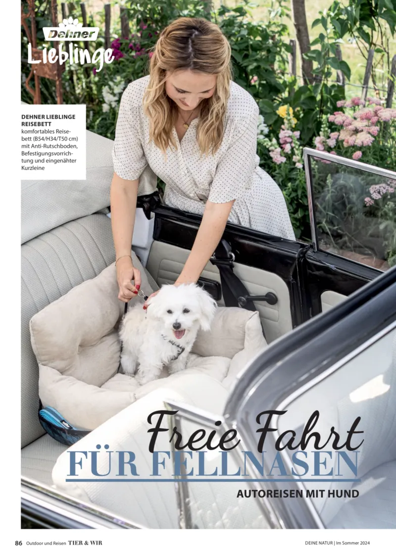 Dehner Prospekt vom 06.01.2026, Seite 86