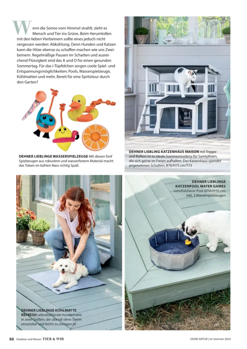 Dehner Prospekt vom 06.01.2026, Seite 88