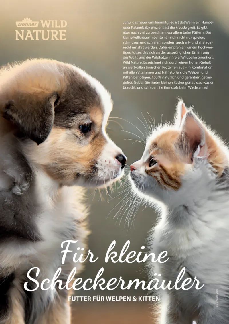 Dehner Prospekt vom 06.01.2026, Seite 90