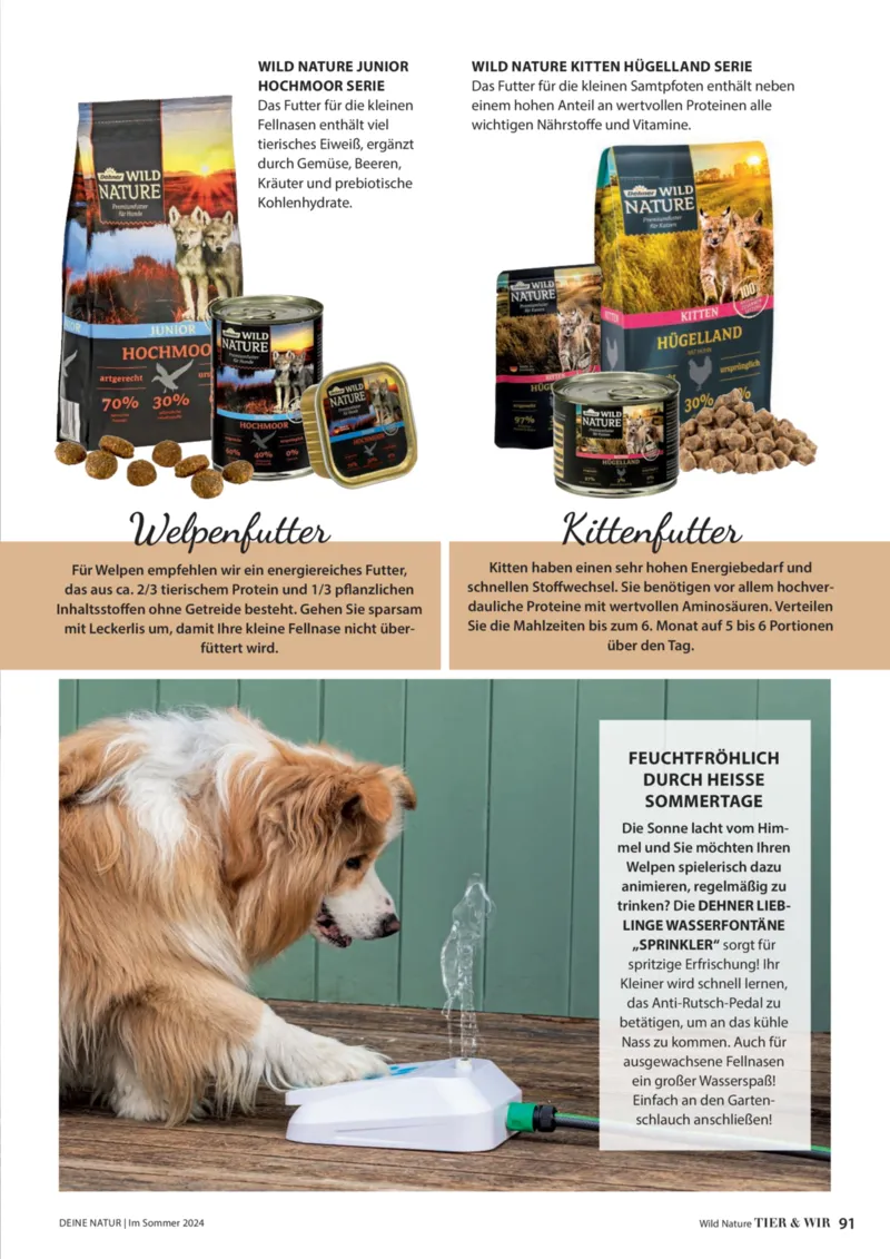 Dehner Prospekt vom 06.01.2026, Seite 91