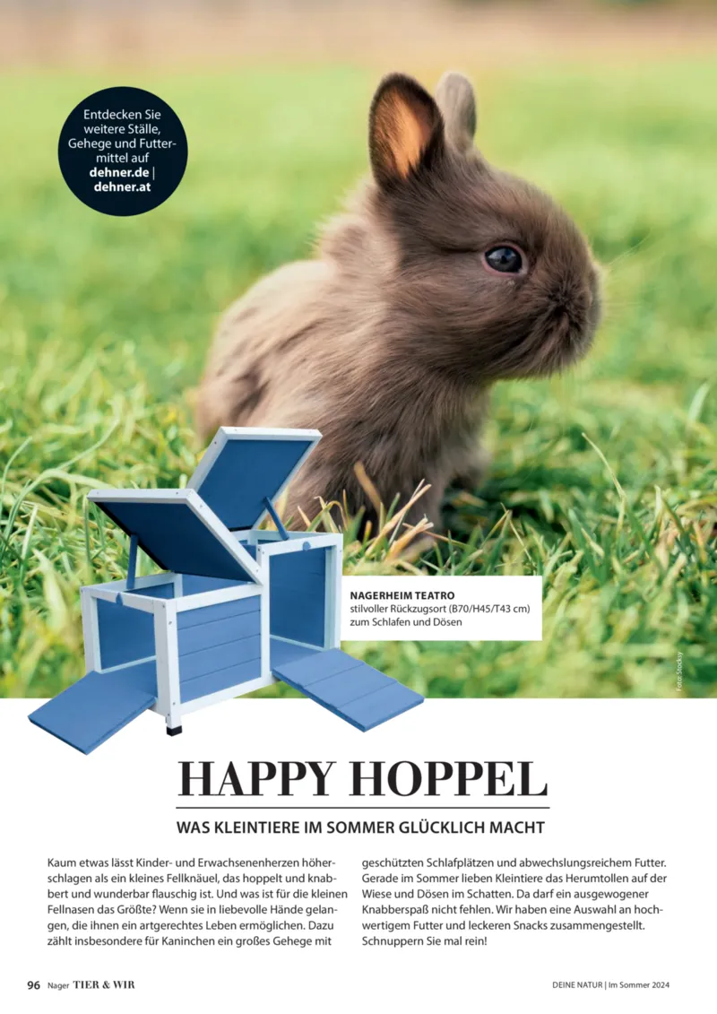 Dehner Prospekt vom 06.01.2026, Seite 96