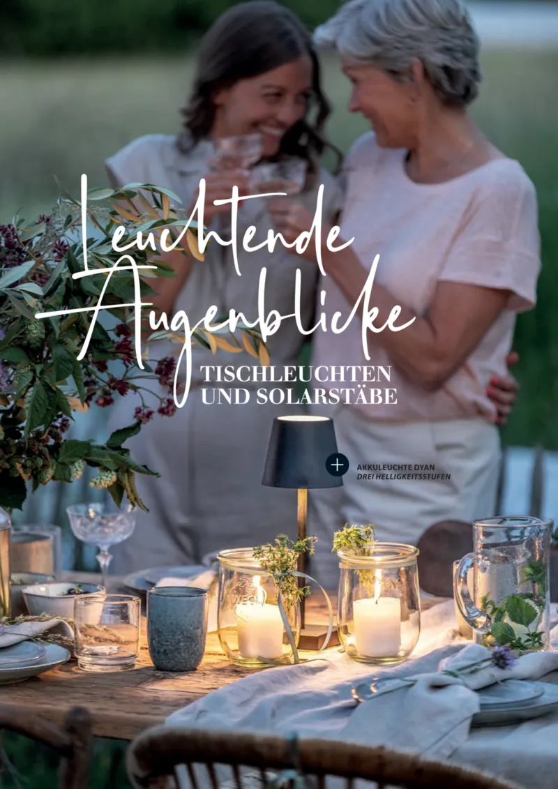 Dehner Prospekt vom 06.01.2026, Seite 17