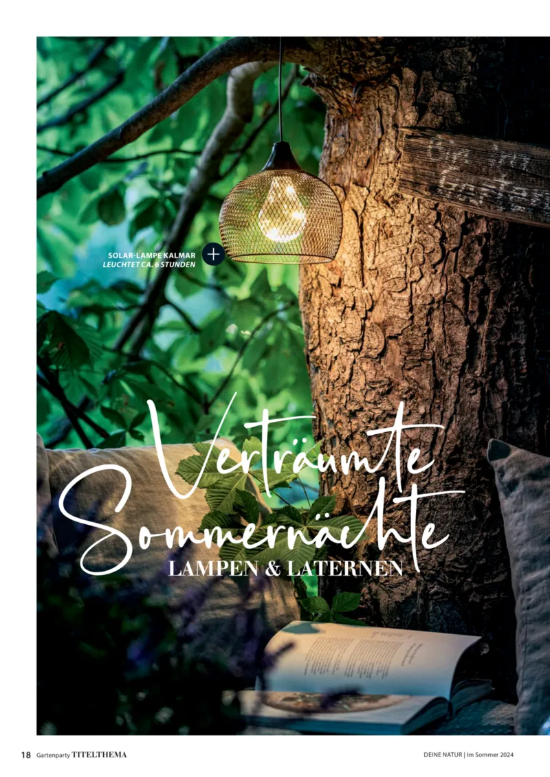 Dehner Prospekt vom 06.01.2026, Seite 18