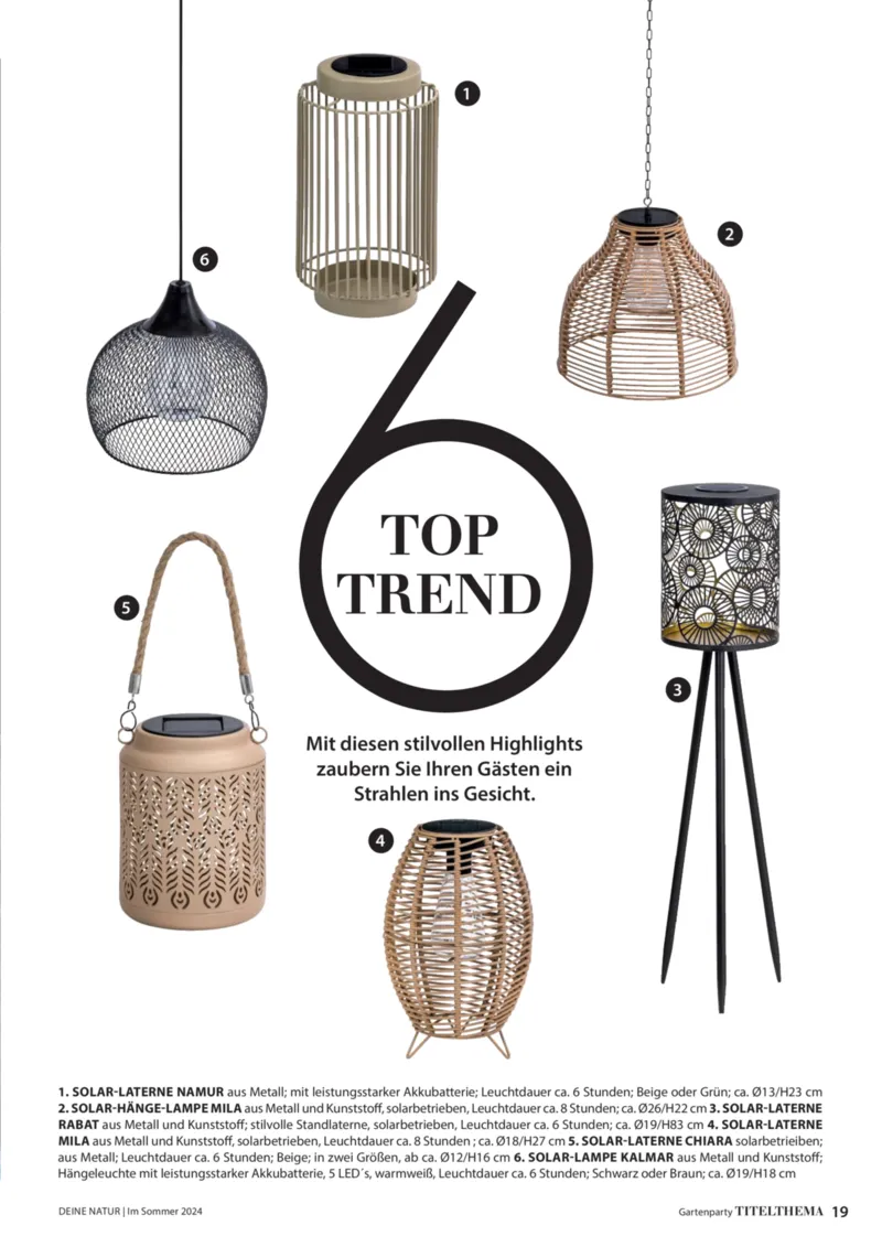 Dehner Prospekt vom 06.01.2026, Seite 19