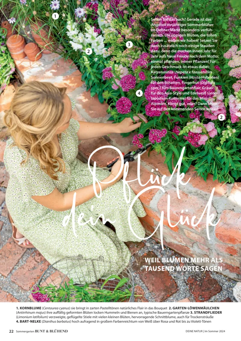 Dehner Prospekt vom 06.01.2026, Seite 22