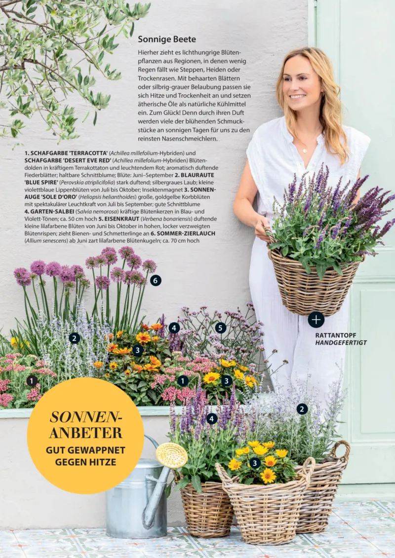 Dehner Prospekt vom 06.01.2026, Seite 25