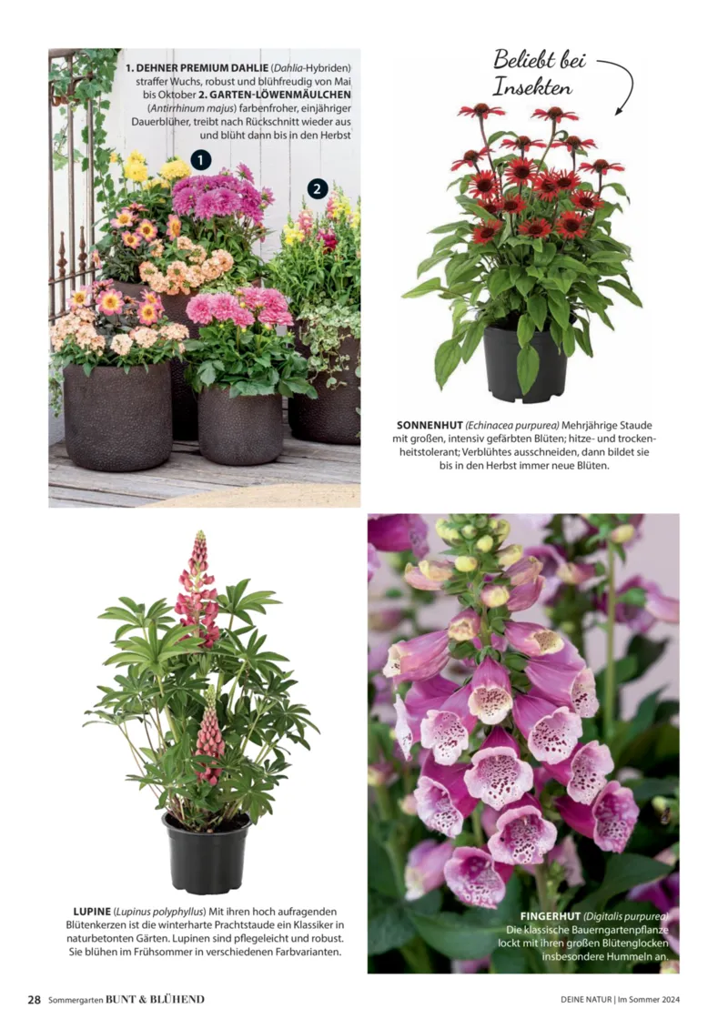 Dehner Prospekt vom 06.01.2026, Seite 28