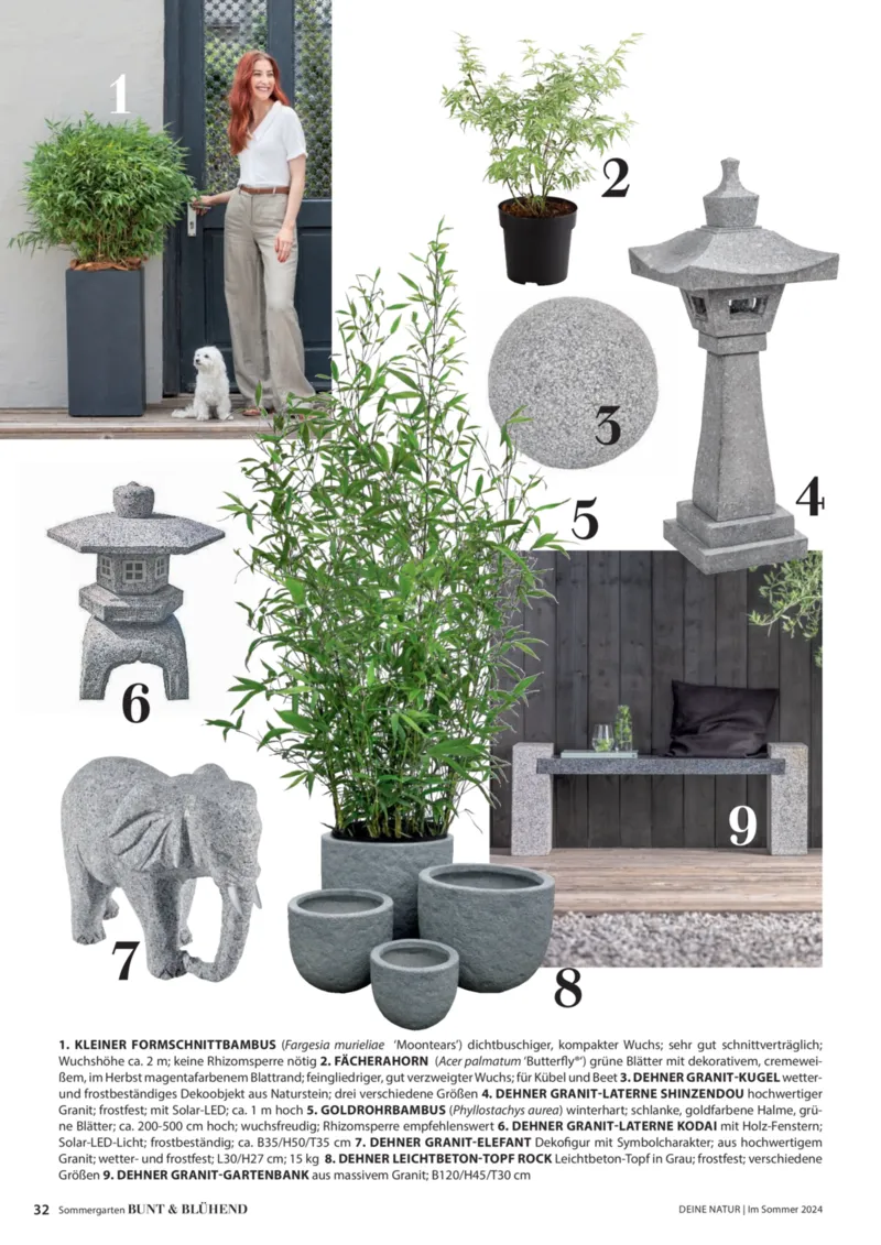 Dehner Prospekt vom 06.01.2026, Seite 32