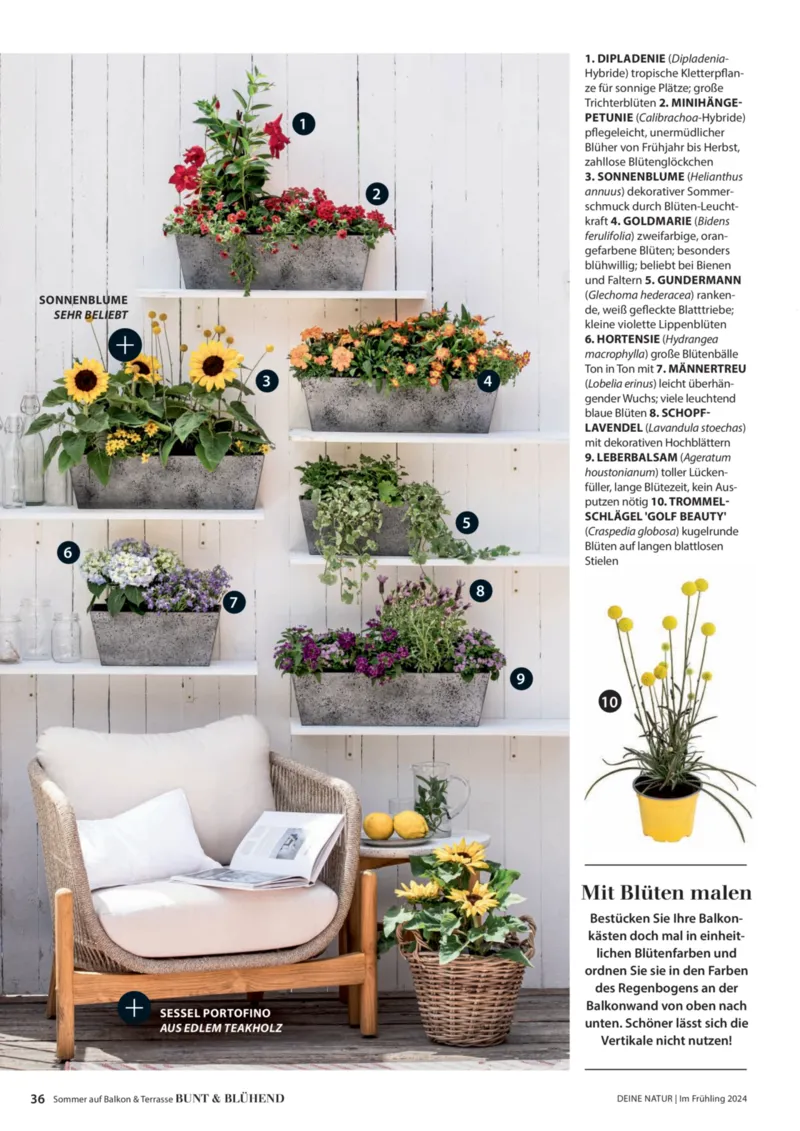 Dehner Prospekt vom 06.01.2026, Seite 36