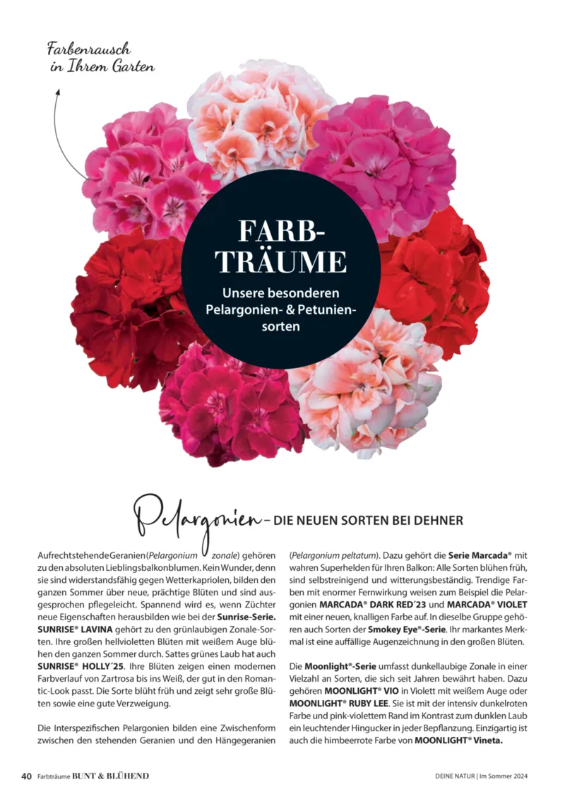 Dehner Prospekt vom 06.01.2026, Seite 40