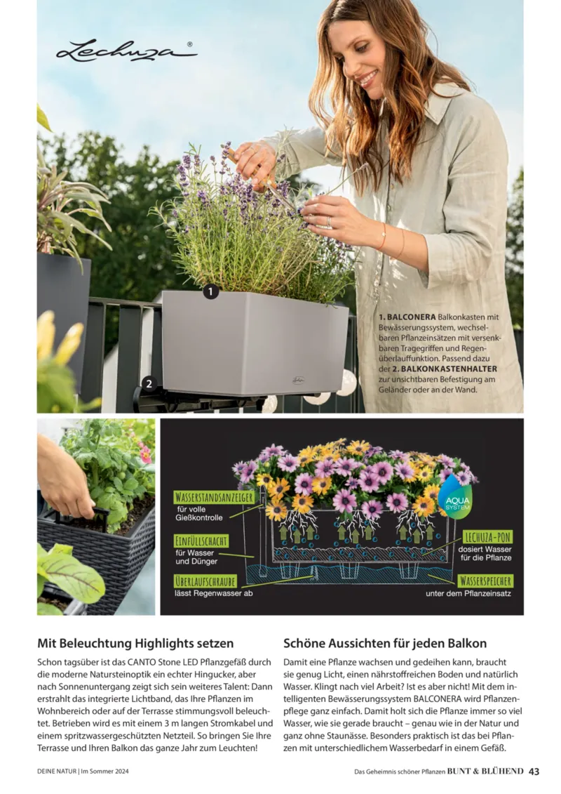 Dehner Prospekt vom 06.01.2026, Seite 43