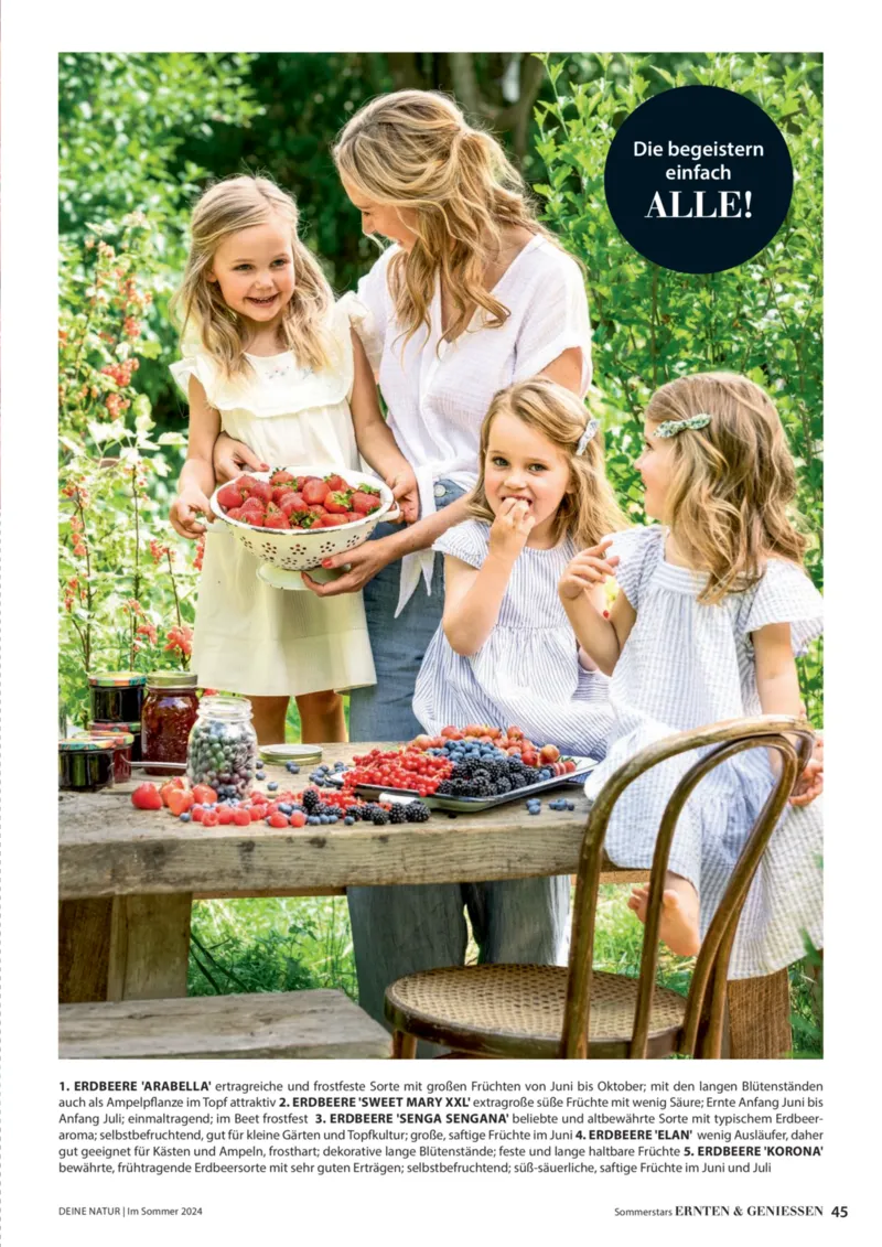 Dehner Prospekt vom 06.01.2026, Seite 45