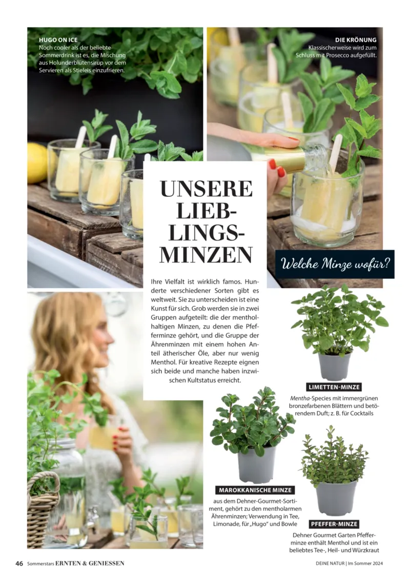 Dehner Prospekt vom 06.01.2026, Seite 46