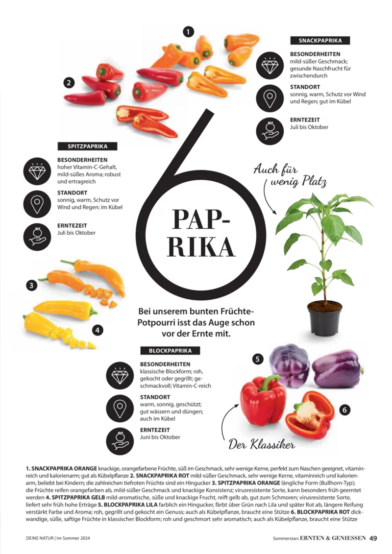 Dehner Prospekt vom 06.01.2026, Seite 49