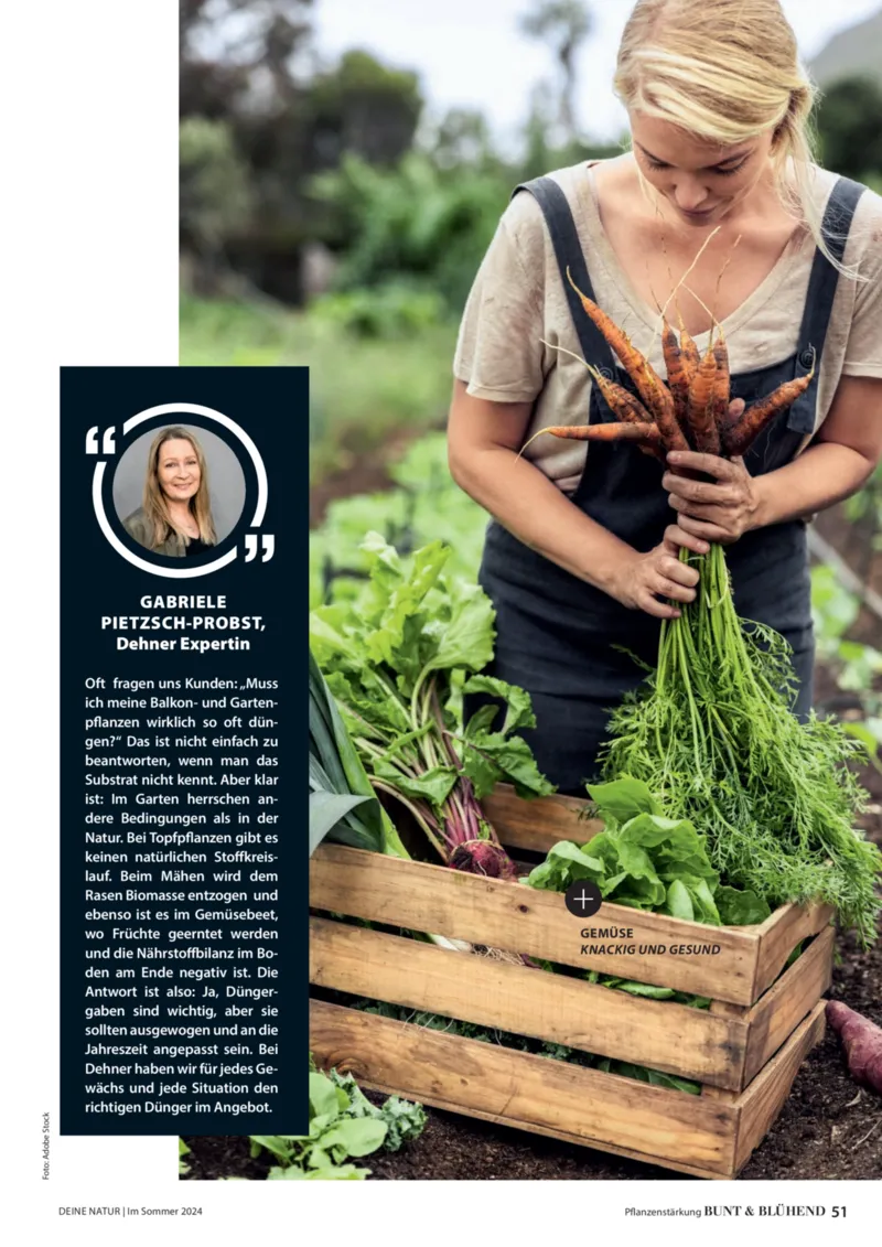 Dehner Prospekt vom 06.01.2026, Seite 51