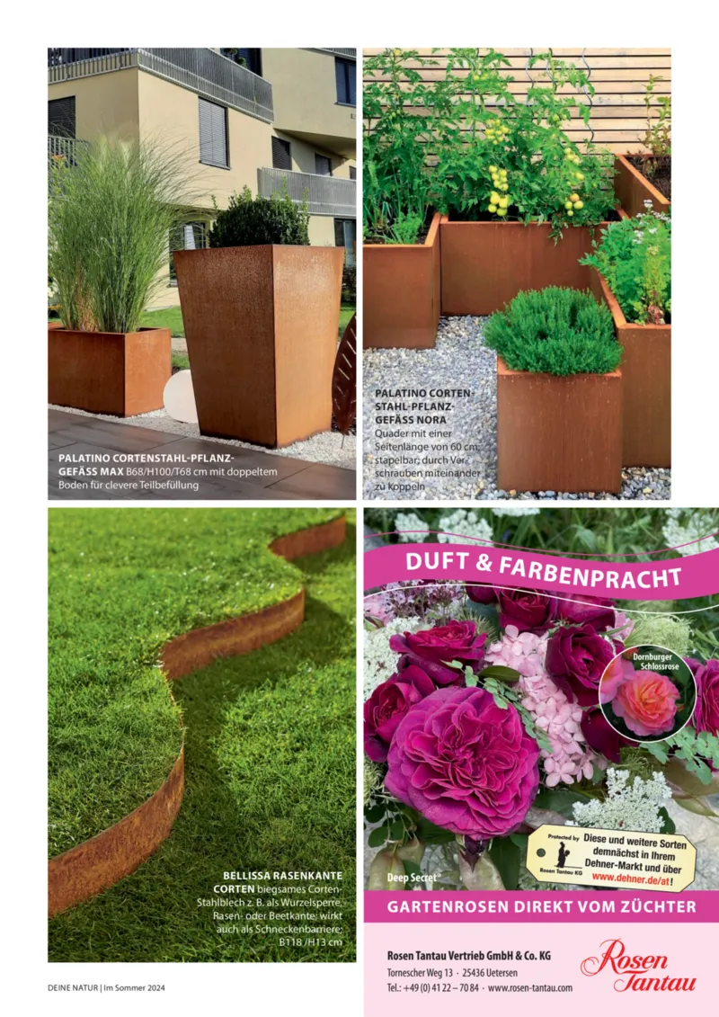 Dehner Prospekt vom 06.01.2026, Seite 55