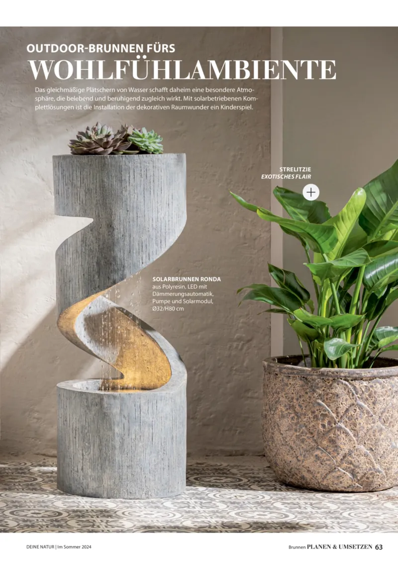 Dehner Prospekt vom 06.01.2026, Seite 63