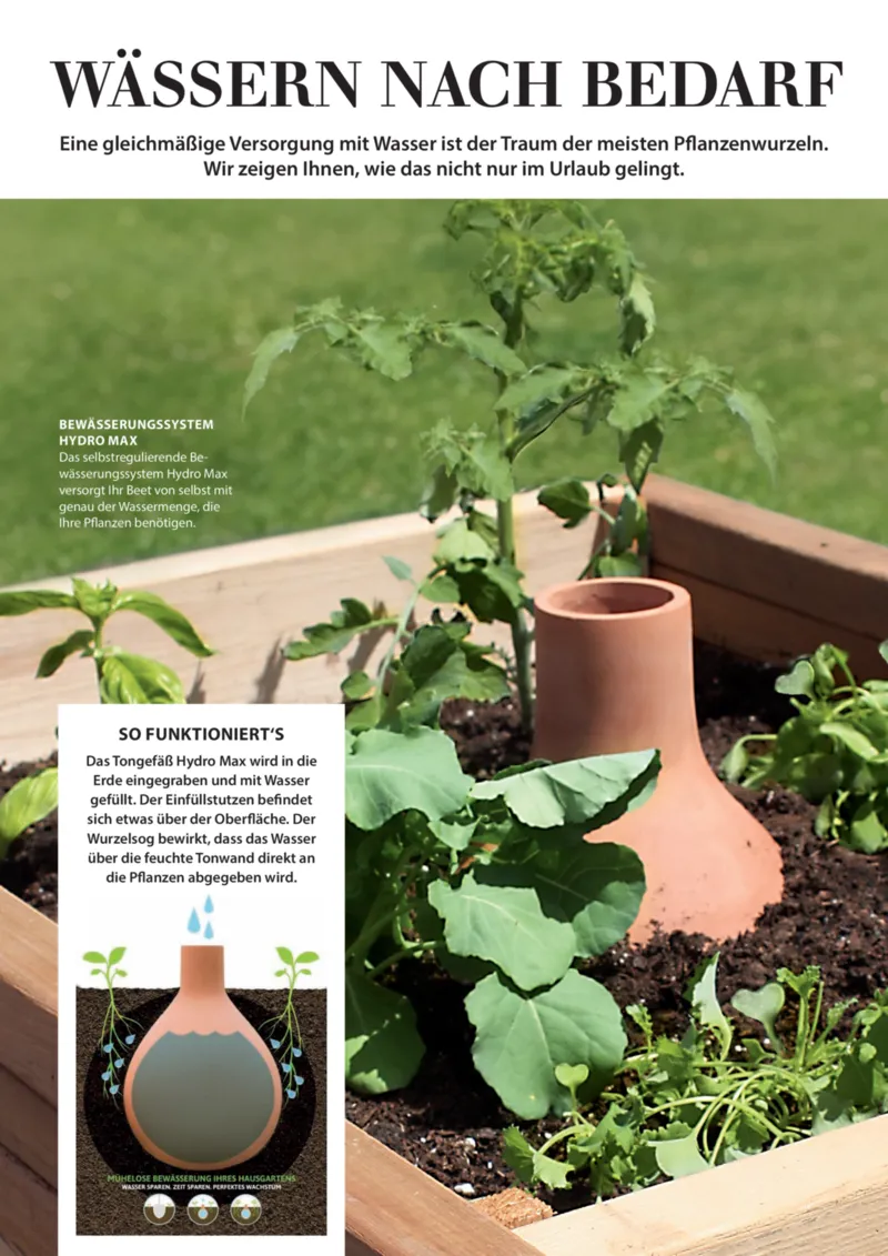 Dehner Prospekt vom 06.01.2026, Seite 64