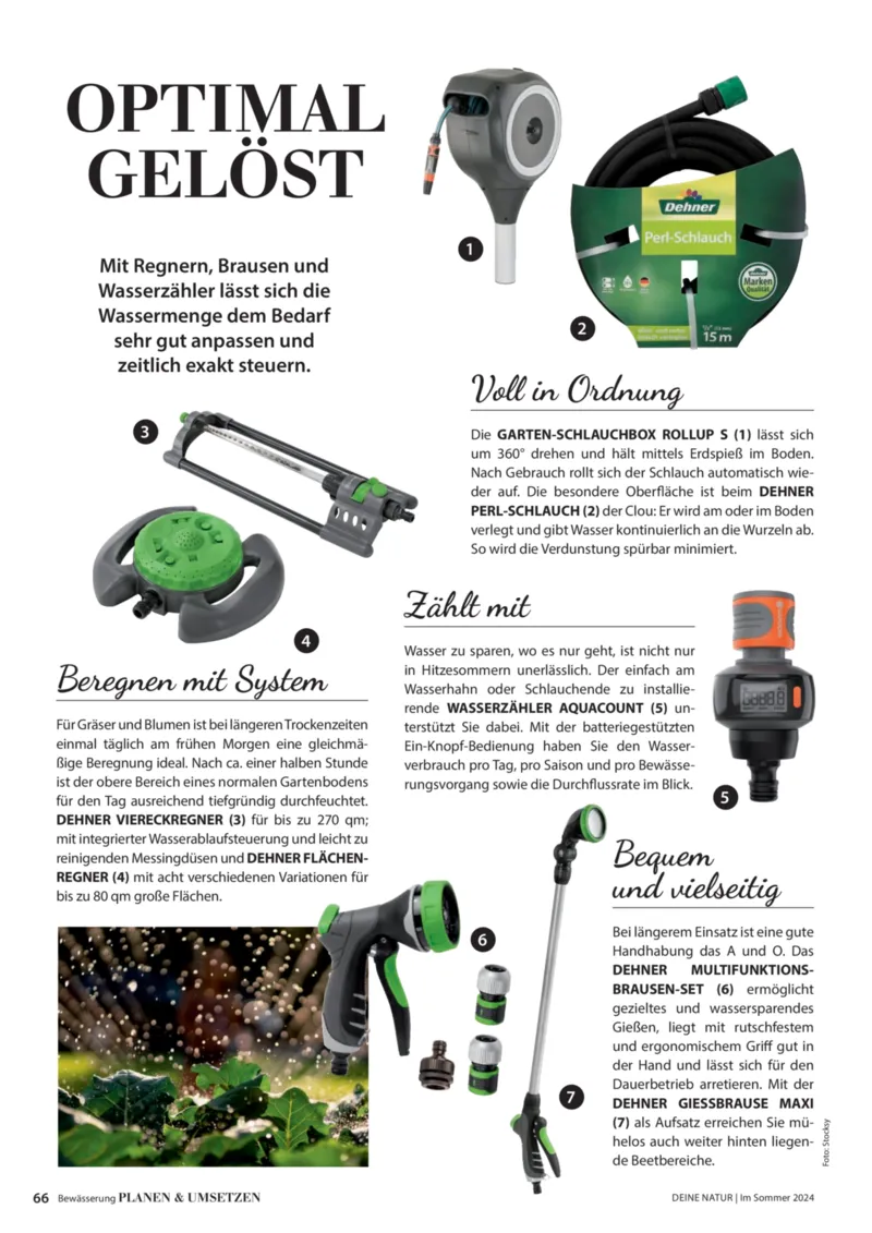 Dehner Prospekt vom 06.01.2026, Seite 66