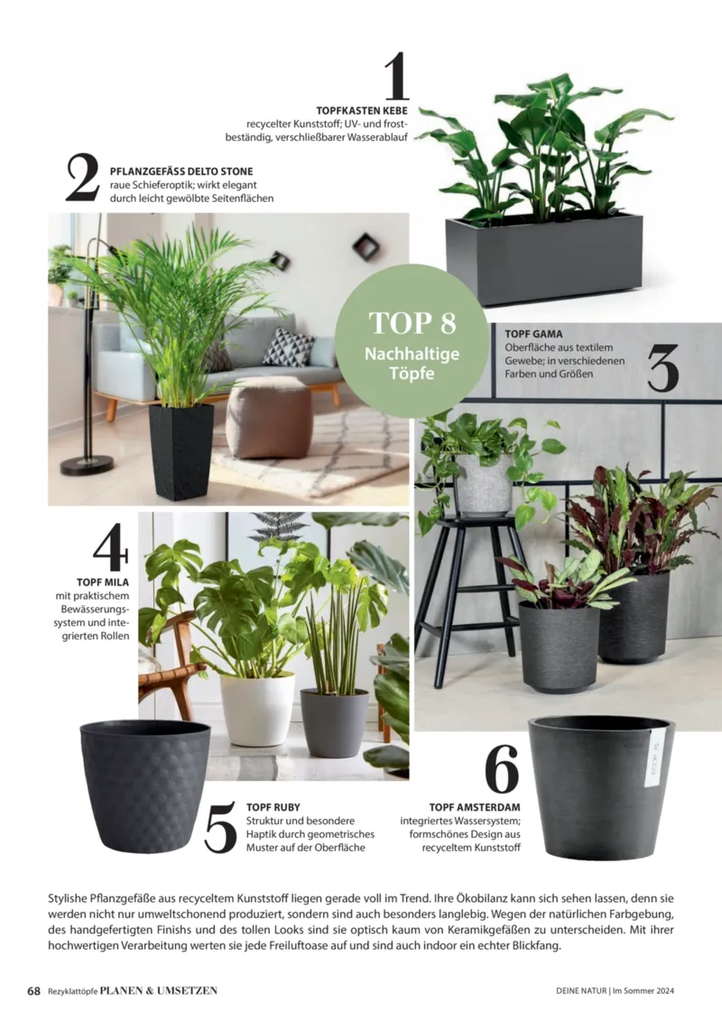 Dehner Prospekt vom 06.01.2026, Seite 68