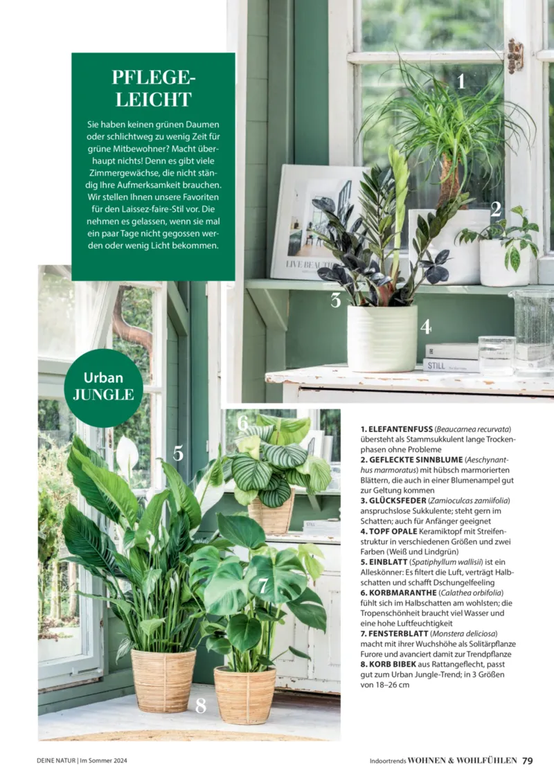 Dehner Prospekt vom 06.01.2026, Seite 79