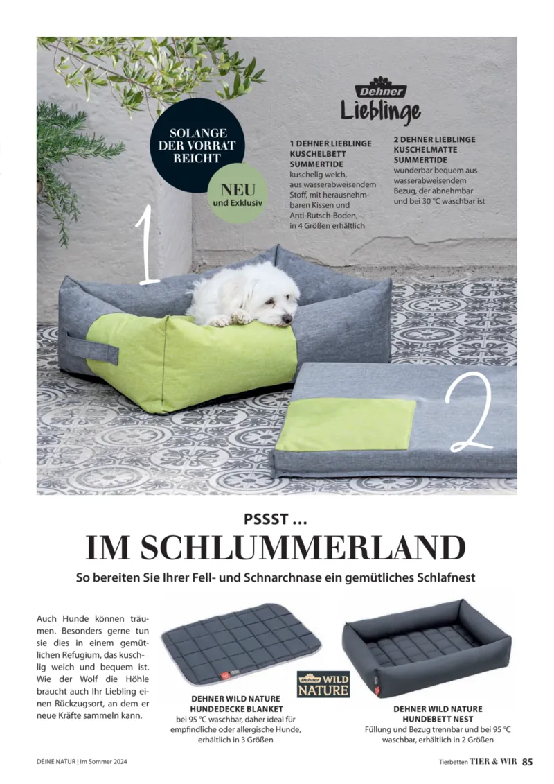 Dehner Prospekt vom 06.01.2026, Seite 85