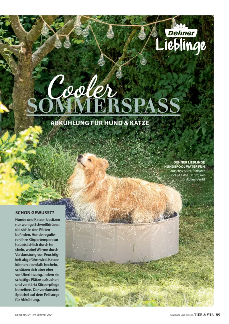 Dehner Prospekt vom 06.01.2026, Seite 89