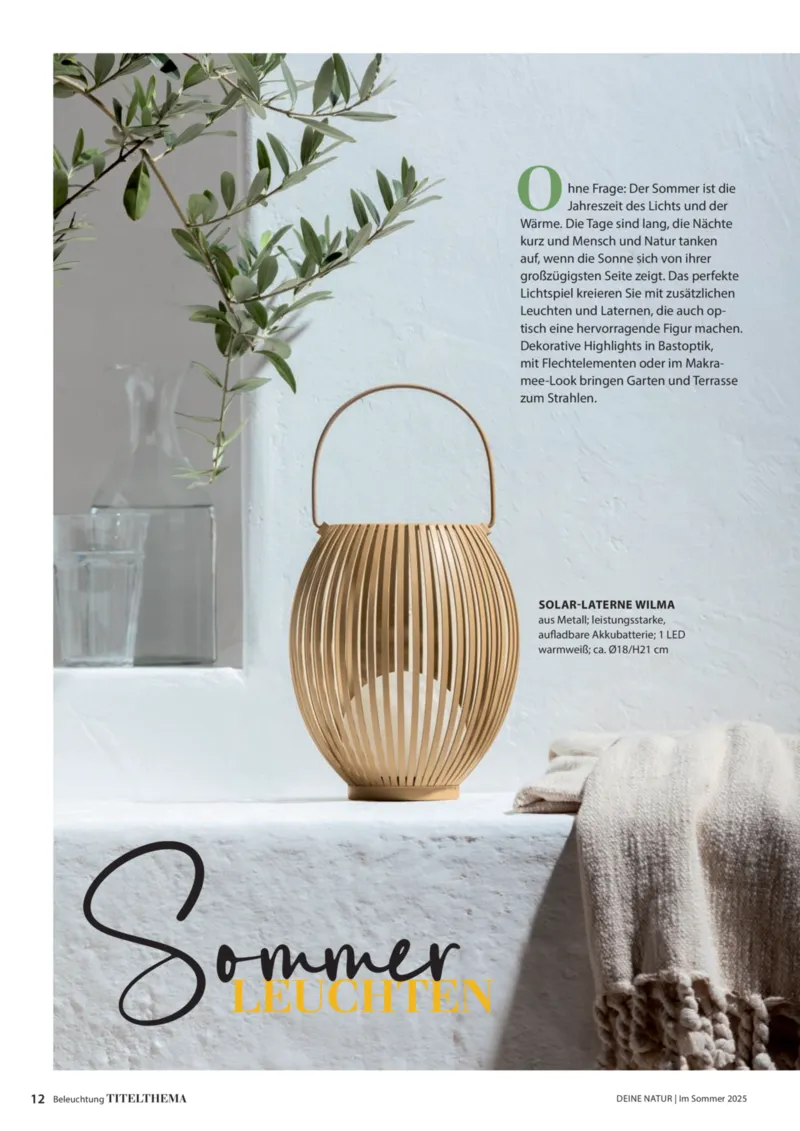 Dehner Prospekt vom 06.01.2026, Seite 12